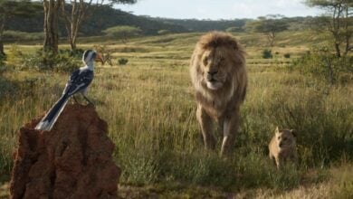 Mufasa The Lion King live action movie