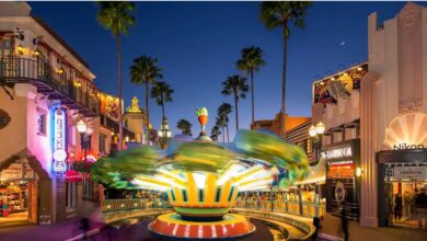 Disney's Hollywood Studios with TriceraTop Spin