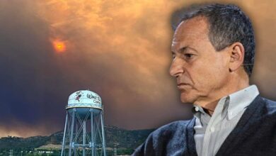 Disney CEO Bob Iger in a sweater and collared shirt looks to the right against a backdrop of a smoky sky and a sun obscured by smoke. In the foreground, there's a water tower labeled "Walt Disney Co." with hilly terrain below.