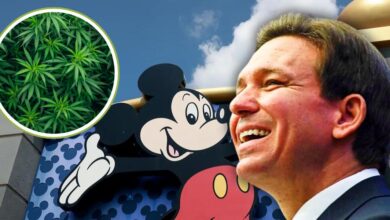 Mickey Mouse on a building stands next to Florida Governor Ron DeSantis in the foreground. In the upper left corner, there's an inset image of green plants. The sky in the background is partly cloudy at Disney World.