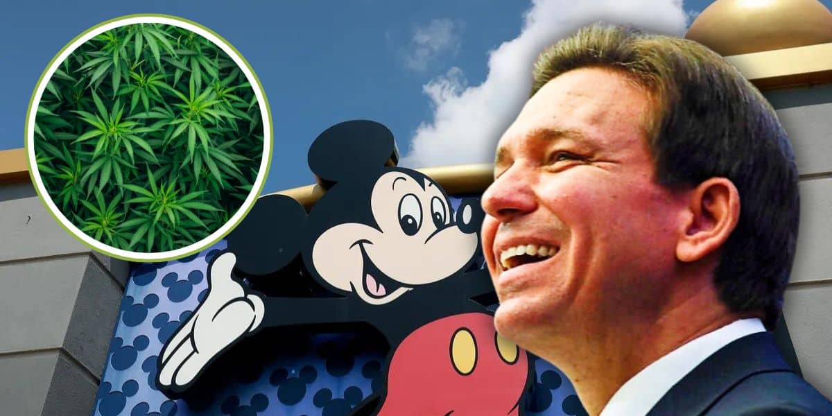 Mickey Mouse on a building stands next to Florida Governor Ron DeSantis in the foreground. In the upper left corner, there's an inset image of green plants. The sky in the background is partly cloudy at Disney World.