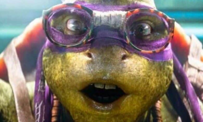 Donatello headshot from 'Teenage Mutant Ninja Turtles: Out of the Shadows'