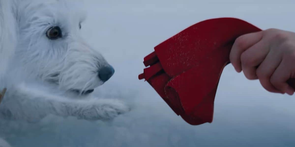 Krypto the Dog reaching for Superman's cape in the trailer for 'Superman' (2025)