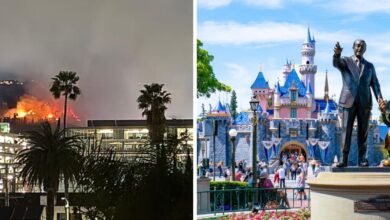 The image is split into two sections. On the left, a wildfire burns on a hill near some palm trees and a building at night. On the right, people are gathered in front of Sleeping Beauty Castle at Disneyland Park.