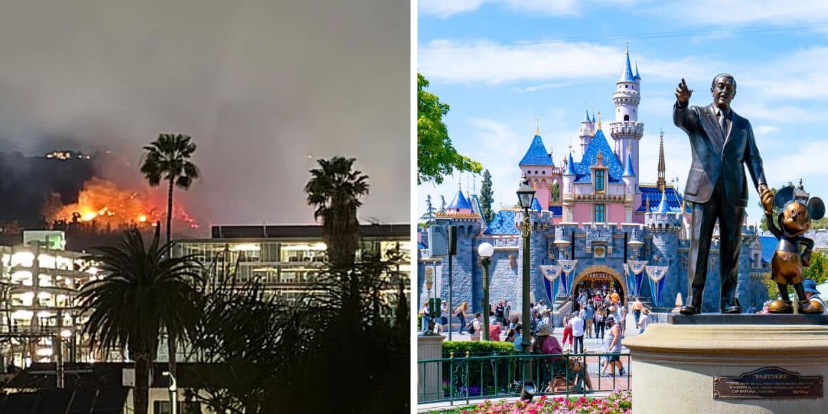 The image is split into two sections. On the left, a wildfire burns on a hill near some palm trees and a building at night. On the right, people are gathered in front of Sleeping Beauty Castle at Disneyland Park.
