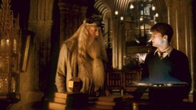 Albus Dumbledore and Harry potter
