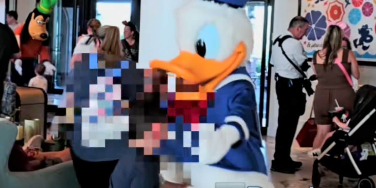A child who pushed and punched two Disney characters hits Donald Duck.