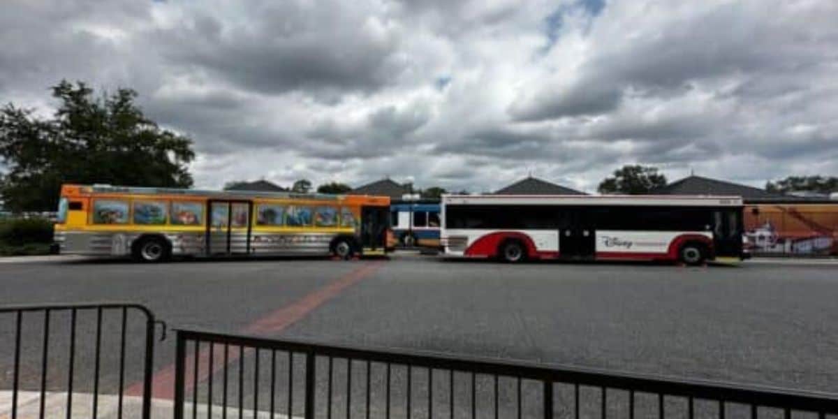 One undecorated bus and another yellow bus at Walt Disney World Resort.