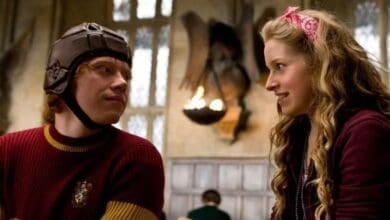 Lavender Brown and Ron Weasley in Harry Potter