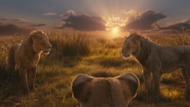 Mufasa The Lion King