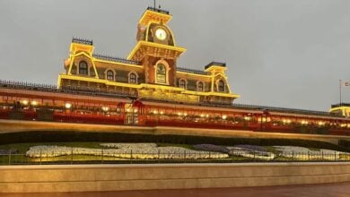 The reflection of the Magic Kingdom Park train station on the ground during a rainy day at Magic Kingdom.