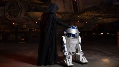 Luke Skywalker and R2-D2 Season of the Force Disneyland