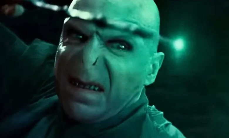 Voldemort trying to use the Elder Wand in 'Deathly Hallows Part 2'