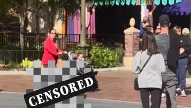 Two geese fight at Disneyland, the scene is censored.