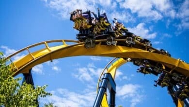People ride a yellow and blue roller coaster at Six Flags Great America, where a Six Flags shooting took place.