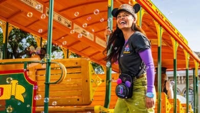Disneyland 70th Merchandise