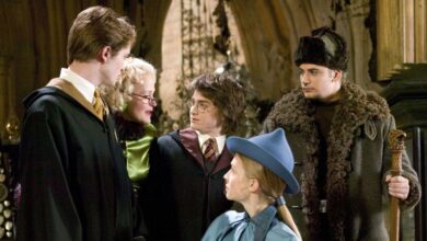 Harry Potter, Cedric Diggory, Viktor Krum, Fleur Delacour, and Rita Skeeter in Harry Potter and the Goblet of Fire
