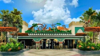 Entrance to Busch Gardens theme park, featuring a decorative sign with animal figures and a roller coaster design, surrounded by palm trees, greenery, and orange umbrellas under a bright blue sky where a theme park incident took place.