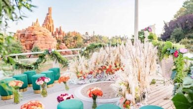 Disneyland Paris wedding at Big Thunder Mountain