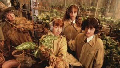 Harry Potter and the Chamber of Secrets