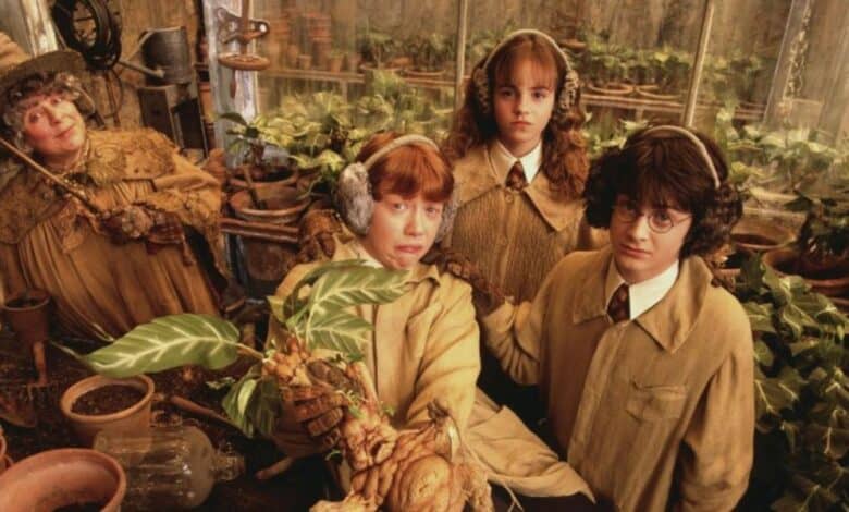 Harry Potter and the Chamber of Secrets