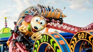 Slinky Dog Dash in Toy Story Land at Disney's Hollywood Studios