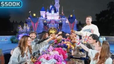 A group of people sit around a colorful, flower-filled table, raising glasses in celebration in front of a lit-up Disneyland castle at night. A "$500K" graphic appears in the top left corner.