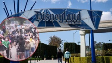 A large sign reads "Disneyland Resort" above an entrance path. Inset shows a crowd of masked people walking together, with some carrying flags and carts.