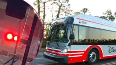 Left: A Disney World transport bus after an accident. Right: A normal Disney World bus.