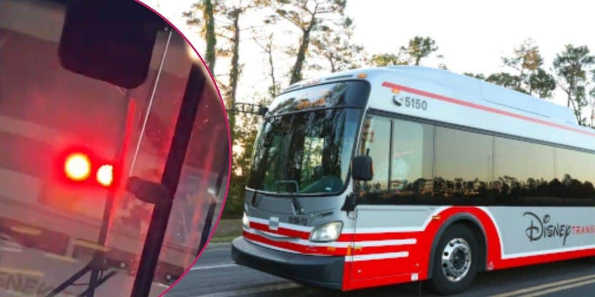 Left: A Disney World transport bus after an accident. Right: A normal Disney World bus.