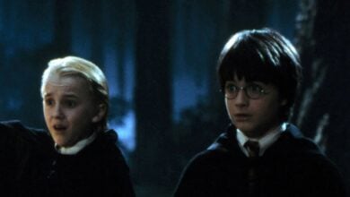 Harry Potter (Daniel Radcliffe) and Draco Malfoy (Tom Felton) in a forest.