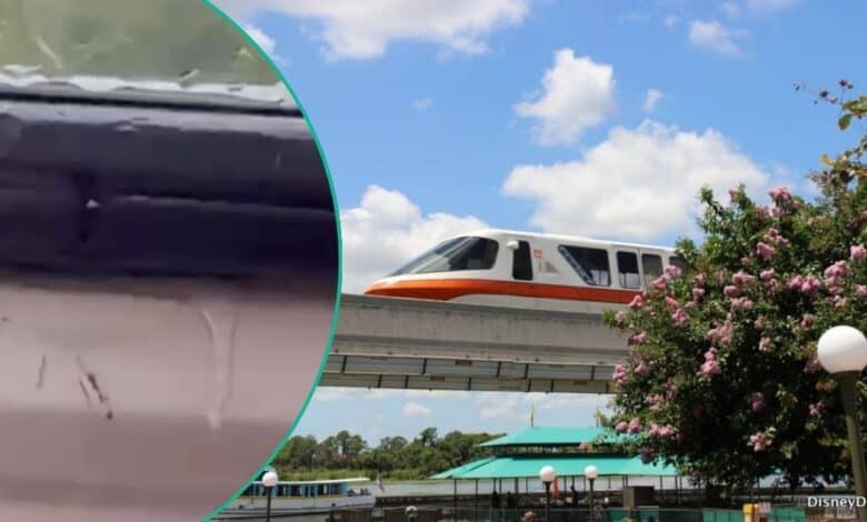 Left: A Monorail window leaking. Right: The Walt Disney World Monorail traveling near Magic Kingdom Park.