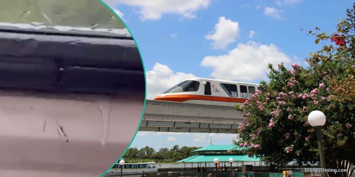 Left: A Monorail window leaking. Right: The Walt Disney World Monorail traveling near Magic Kingdom Park.