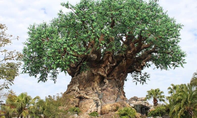 The Tree of Life at Disney's Animal Kingdom Theme Park during the day.