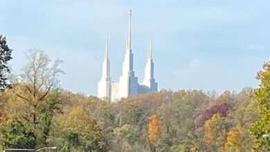 The Washington D.C. temple that many have compared to a Disneyland Park castle.