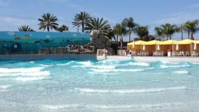 A wave pool with turquoise water and small waves, labeled "Tidal Wave Bay" at Soak City. Palm trees, a mural with sea animals, yellow umbrellas, and white chairs decorate the background under a blue sky.