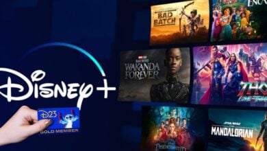 A hand holds a D23 Gold Member card in front of a Disney+ logo and a TV screen displaying various Disney+ shows and movies, including "Wakanda Forever," "Thor: Love and Thunder," and "The Mandalorian.