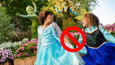 Two young girls in blue princess dresses smiling and holding hands outdoors, with Disney princess-shaped bushes in the background. A red prohibition symbol is overlaid on the image.