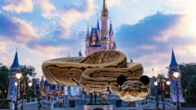 A large snake wearing Mickey Mouse ears is superimposed in front of a fairytale castle at a theme park, with a blue sky and clouds in the background.