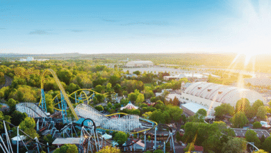 A bright, sunny view of an amusement park featuring roller coasters, trees, and large white domed buildings, with green landscape and distant hills under a clear blue sky, where tragic theme park news is given.
