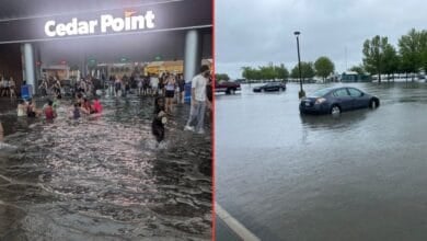 A flooded Cedar Point entrance with people wading through water on the left, and a parking lot with a partially submerged car and high water on the right.