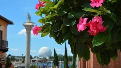 Spaceship Earth as seen from the Italy World Showcase Pavilion at EPCOT.