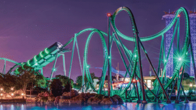 A brightly lit roller coaster with green tracks twists and loops against a purple night sky, with water and rocks in the foreground and amusement park buildings in the background.