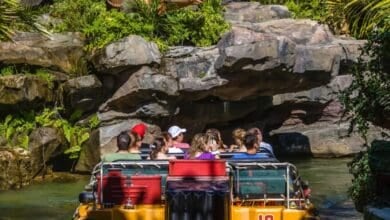 The back of a boat on Jurassic Park River Adventure at Universal Orlando Resort, where a heat wave is taking place.