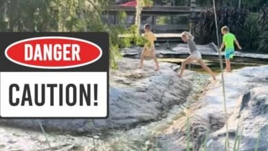Three children walk barefoot on rocks near a body of water at Disney's Wilderness Lodge, sparking a debate about parenting at disney world.