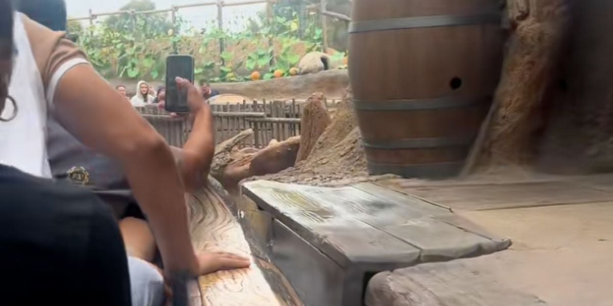 A person recording as his friend stands up on Tiana's Bayou Adventure at Disneyland Park.