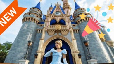 A woman dressed as Cinderella stands in front of a castle with blue and gold accents. A “NEW” orange banner and a party popper graphic with stars and confetti are overlaid on the image.