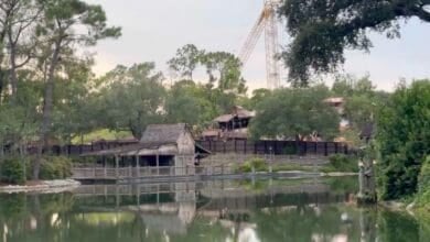 Rivers of America in Magic Kingdom as demolition continues and water level goes down.