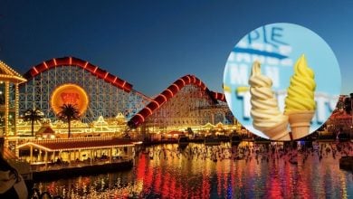 Disney California Adventure with an insert from Adorable Snowman Frosted Treats