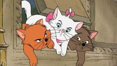 Marie, Toulouse, and Belioz in The Aristocats